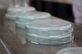 Petri dishes are used for breeding microorganisms, viruses and germs in the microbiological laboratory.